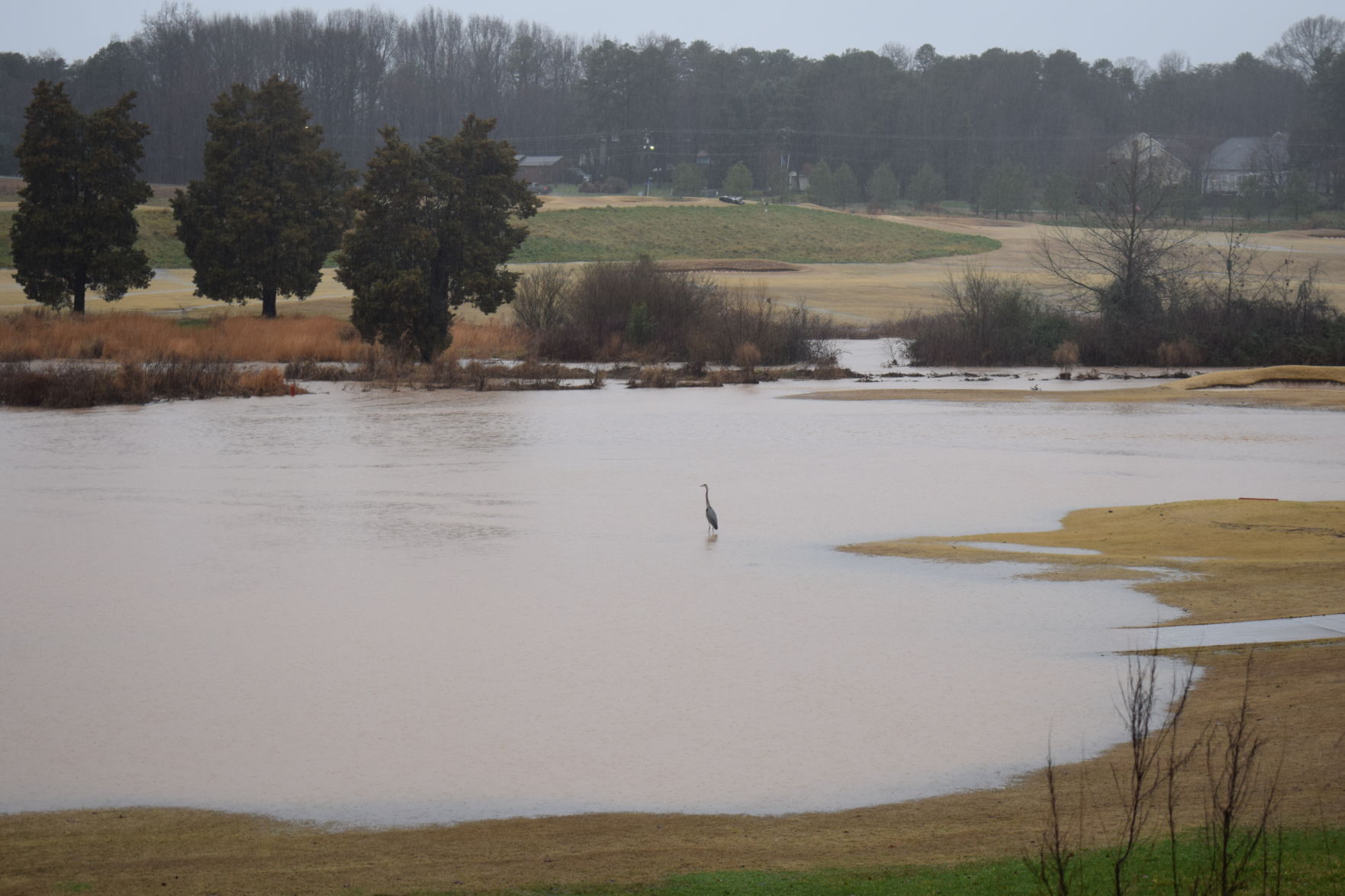 Flooding at Mooresville Golf Course (9).JPG